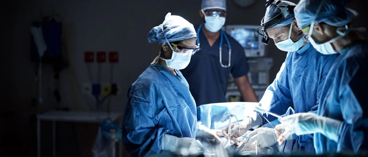 Anatomy Learning Institute