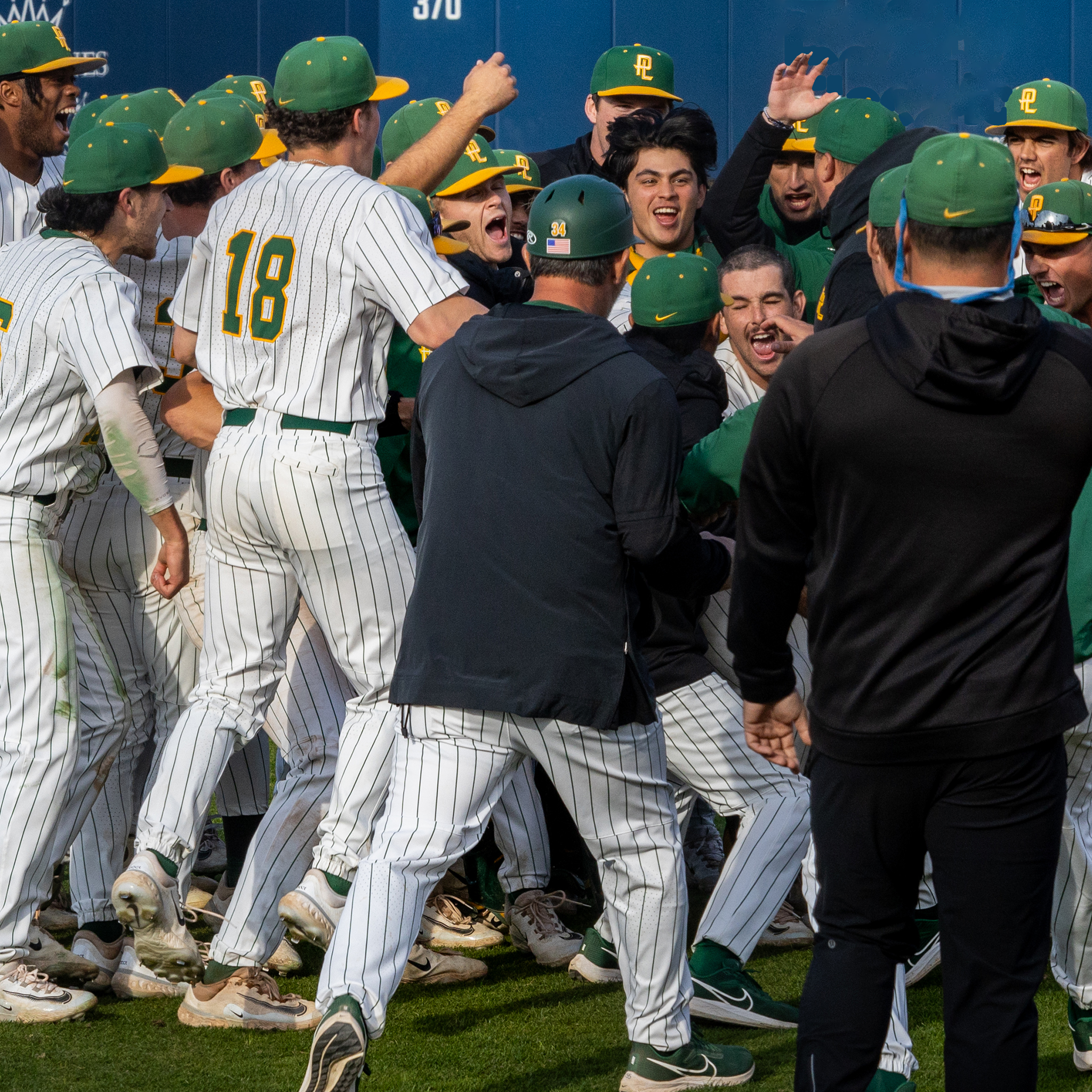 Baseball donation Page